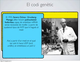El codi genètic

          El 1955, Severo Ochoa i Grunberg-
           Manago aïllen l’enzim polinucleòtid
         fosforilasa, capaç de sintetitzar mRNA
         sense necessitat de motlle i a partir de
        qualsevol tipus de NTP que hi hagués al
                           medi



              Així, a partir d’un medi en el qual
                 tan sols hi havia UDP (àcid
              uridílic), se sintetitzava un poli U




dijous 31 de gener de 13
 