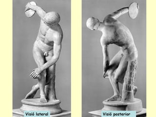 Visió lateral   Visió posterior
 