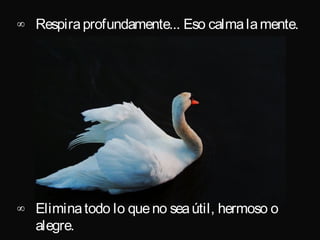 ∞ Respira profundamente... Eso calma la mente.




∞ Elimina todo lo que no sea útil, hermoso o
  alegre.
 