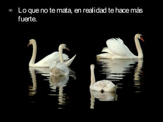 ∞ Lo que no te mata, en realidad te hace más
  fuerte.  
 