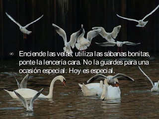 ∞ Enciende las velas, utiliza las sábanas bonitas,
  ponte la lencería cara. No la guardes para una
  ocasión especial. Hoy es especial.
 