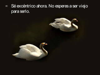 ∞ Sé excéntrico ahora. No esperes a ser viejo
  para serlo.
 