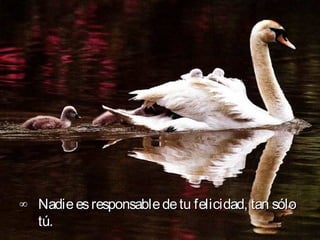 ∞ Nadie es responsable de tu felicidad, tan sólo
  tú. 
 