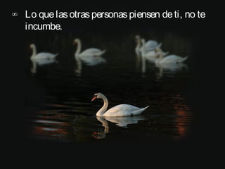 ∞ Lo que las otras personas piensen de ti, no te
  incumbe.
 