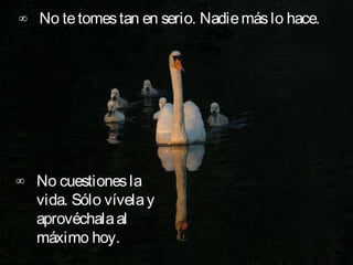 ∞ No te tomes tan en serio. Nadie más lo hace.




∞ No cuestiones la
  vida. Sólo vívela y
  aprovéchala al
  máximo hoy.
 