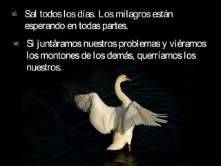 ∞ Sal todos los días. Los milagros están
  esperando en todas partes.
∞ Si juntáramos nuestros problemas y viéramos
  los montones de los demás, querríamos los
  nuestros.
 