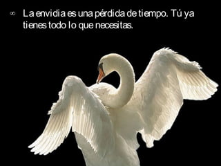 ∞ La envidia es una pérdida de tiempo. Tú ya
  tienes todo lo que necesitas.
 