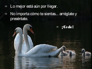 ∞ Lo mejor está aún por llegar.    
∞ No importa cómo te sientas... arréglate y
  preséntate.
                               ∞ ¡Cede!
 