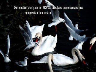 Se estima que el 93% de las personas no
       reenviarán esto.                  
 