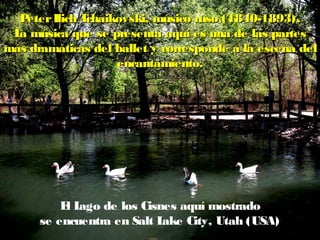 P eter Ilich Tchaikovski, músico ruso (1840-1893).
 L música que se presenta aquí es una de las partes
  a
más dramáticas del ballet y corresponde a la escena del
                     encantamiento.




          EL
           l ago de los Cisnes aquí mostrado
      se encuentra en Salt Lake City, Utah (USA)
 