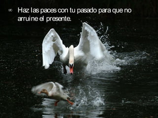 ∞ Haz las paces con tu pasado para que no
  arruine el presente.      
 