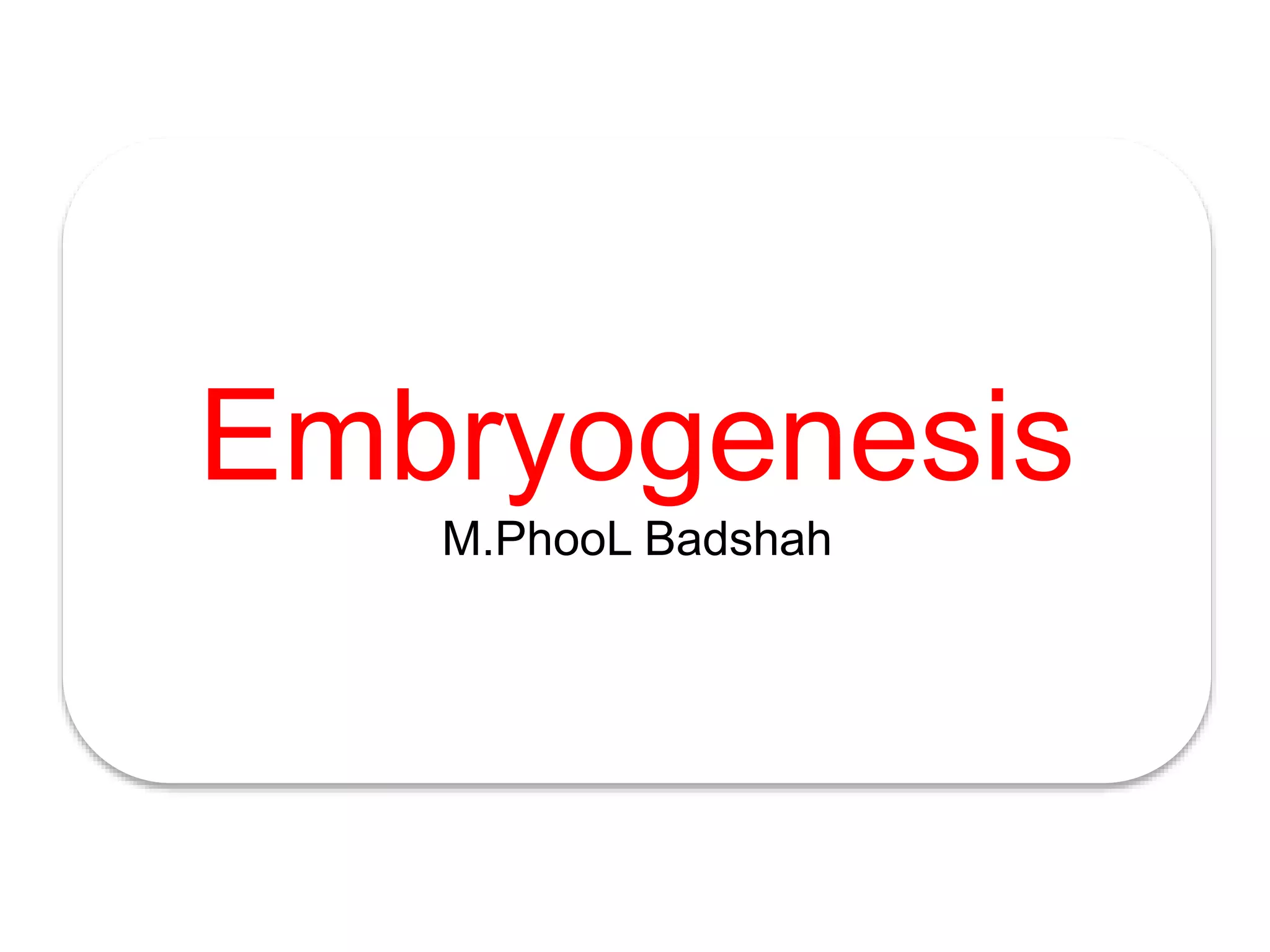 Embryogenesis
M.PhooL Badshah
