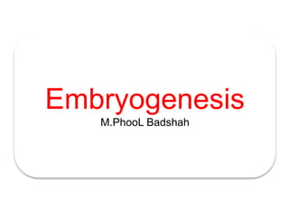 Embryogenesis
M.PhooL Badshah
 