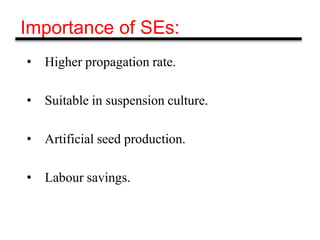 Importance of SEs:
• Higher propagation rate.
• Suitable in suspension culture.
• Artificial seed production.
• Labour savings.
 