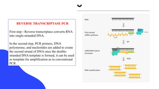 One Step Reverse Transcriptase ENDODONTIC MICROBIOLOGY OF ROOT CANAL .pptx