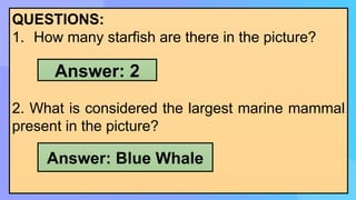 QUESTIONS:
1. How many starfish are there in the picture?
2. What is considered the largest marine mammal
present in the picture?
Answer: 2
Answer: Blue Whale
 