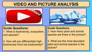 VIDEO AND PICTURE ANALYSIS
Guide Questions:
1. What is biodiversity, ecosystem,
and species?
2. How will you differentiate high
biodiversity from low biodiversity?
Guide Questions:
2. How many plant and animal
species are there in the picture?
3. What are the most abundant
plant and animal species in the
picture?
 