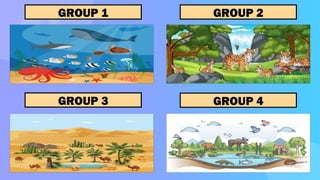GROUP 1 GROUP 2
GROUP 3 GROUP 4
 