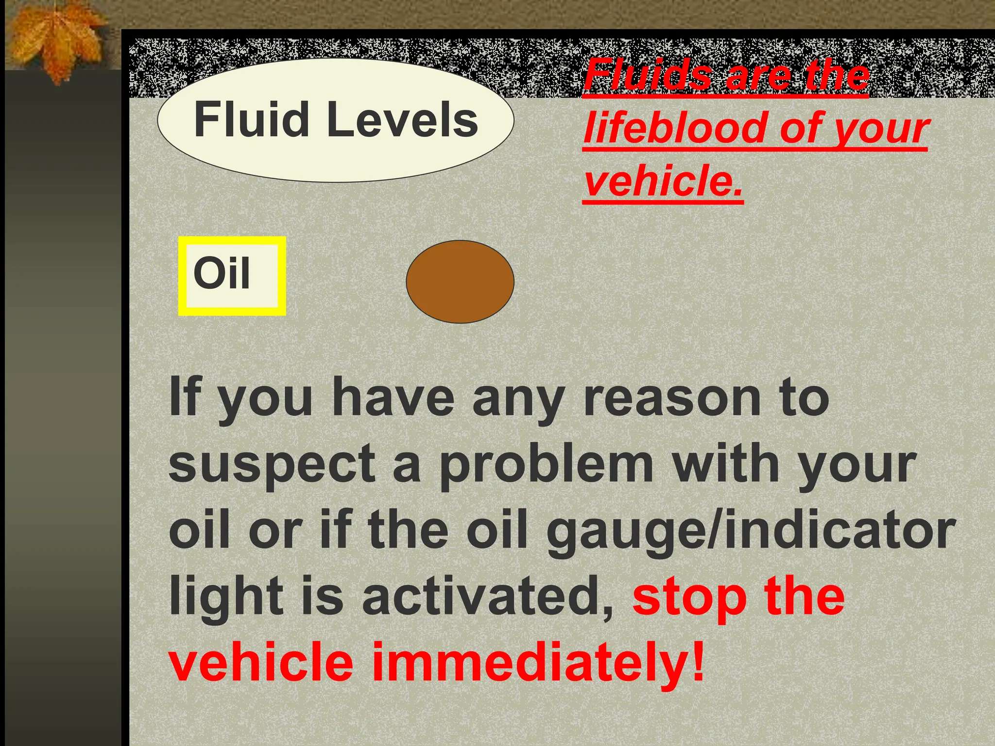 Fluid Levels
Fluids are the
lifeblood of your
vehicle.
Oil
If you have any reason to
suspect a problem with your
oil or if the oil gauge/indicator
light is activated, stop the
vehicle immediately!
 