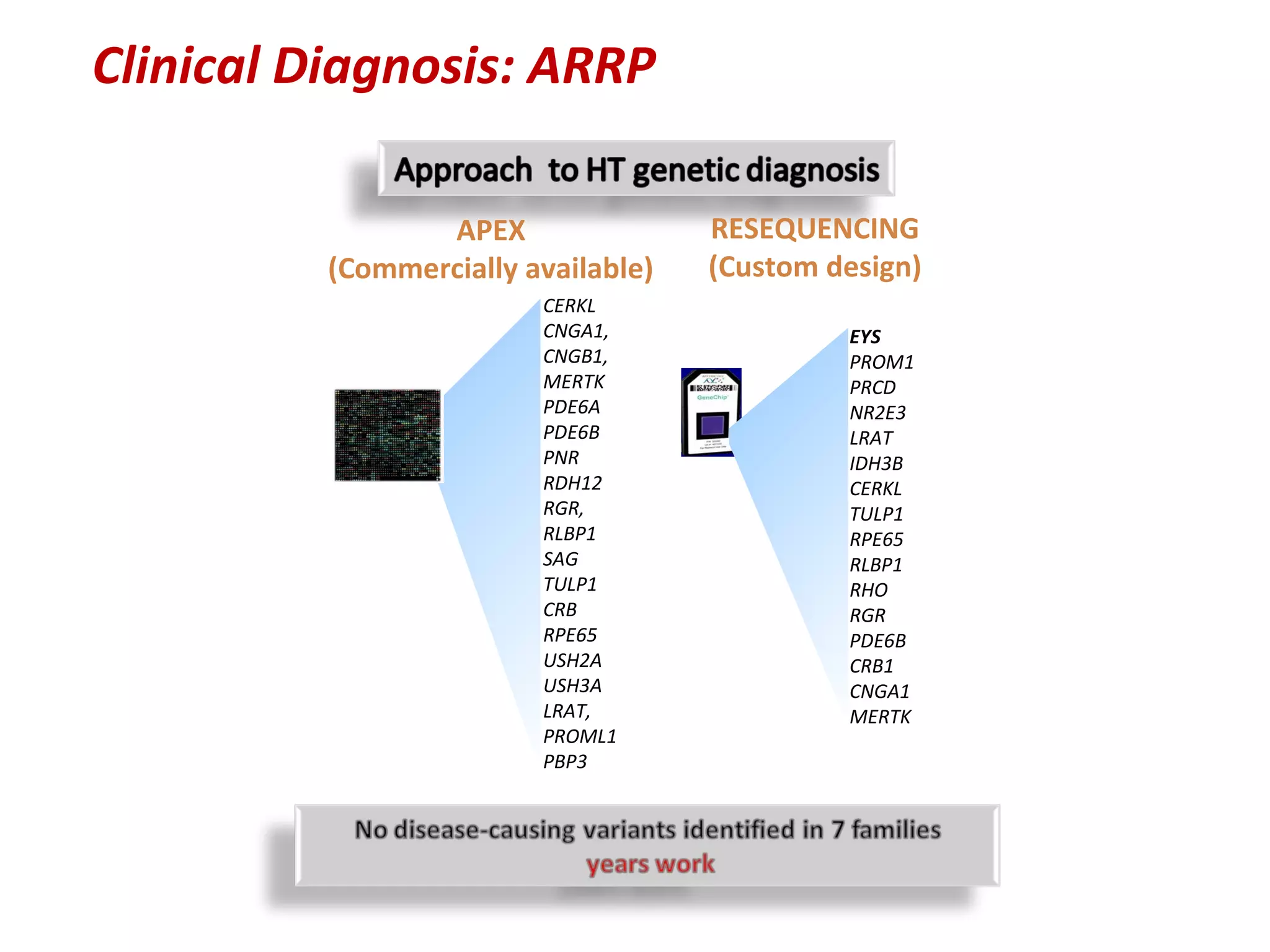 Clinical Diagnosis: ARRP

                 APEX                RESEQUENCING
          (Commercially available)   (Custom design)
                         CERKL
                         CNGA1,               EYS
                         CNGB1,               PROM1
                         MERTK                PRCD
                         PDE6A                NR2E3
                         PDE6B                LRAT
                         PNR                  IDH3B
                         RDH12                CERKL
                         RGR,                 TULP1
                         RLBP1                RPE65
                         SAG                  RLBP1
                         TULP1                RHO
                         CRB                  RGR
                         RPE65                PDE6B
                         USH2A                CRB1
                         USH3A                CNGA1
                         LRAT,                MERTK
                         PROML1
                         PBP3
 