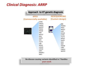 Clinical Diagnosis: ARRP

                 APEX                RESEQUENCING
          (Commercially available)   (Custom design)
                         CERKL
                         CNGA1,               EYS
                         CNGB1,               PROM1
                         MERTK                PRCD
                         PDE6A                NR2E3
                         PDE6B                LRAT
                         PNR                  IDH3B
                         RDH12                CERKL
                         RGR,                 TULP1
                         RLBP1                RPE65
                         SAG                  RLBP1
                         TULP1                RHO
                         CRB                  RGR
                         RPE65                PDE6B
                         USH2A                CRB1
                         USH3A                CNGA1
                         LRAT,                MERTK
                         PROML1
                         PBP3
 