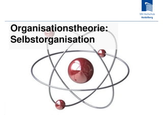 Organisationstheorie:
Selbstorganisation
 