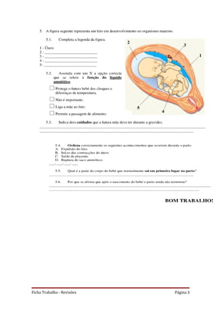 Ficha Trabalho - Revisões   Página 3
 