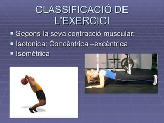 CLASSIFICACIÓ DE L’EXERCICI Segons la seva contracció muscular: Isotonica: Concèntrica –excèntrica Isomètrica 