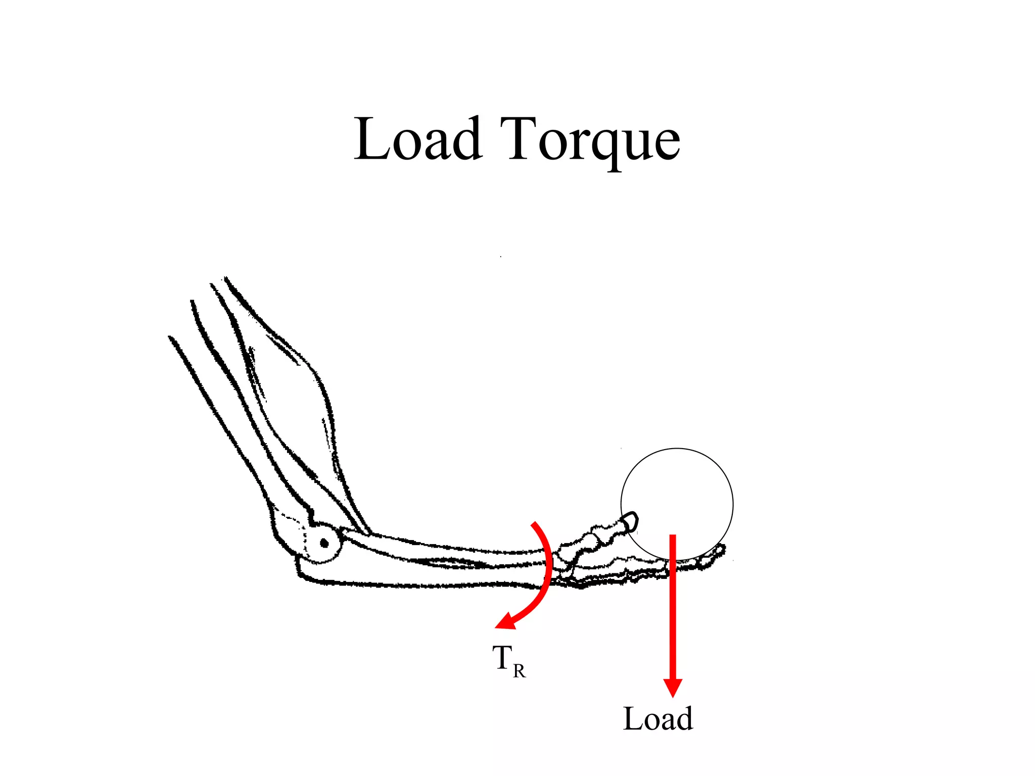 Load Torque
Load
TR
 