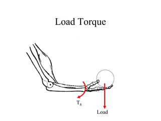 Load Torque
Load
TR
 
