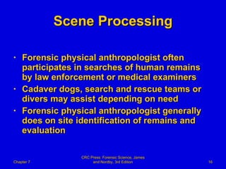Scene Processing Forensic physical anthropologist often participates in searches of human remains by law enforcement or medical examiners Cadaver dogs, search and rescue teams or divers may assist depending on need Forensic physical anthropologist generally does on site identification of remains and evaluation Chapter 7 CRC Press: Forensic Science, James and Nordby, 3rd Edition 