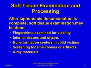Soft Tissue Examination and Processing After taphonomic documentation is complete, soft tissue examination may be done Fingerprints examined for viability Internal tissues and organs Bone formation centers in child victims Screening for small bones or artifacts X-ray materials Chapter 7 CRC Press: Forensic Science, James and Nordby, 3rd Edition 