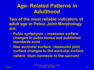 Age- Related Patterns in Adulthood Two of the most reliable indicators of adult age in Pelvic Joint Morphology are: Pubic symphysis – measures surface changes in pubic bones and published standards exist Iliac auricular surface –measures joint surface changes to the auricular surface (where  ilium connects to the sacrum)  Chapter 7 CRC Press: Forensic Science, James and Nordby, 3rd Edition 