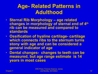 Age- Related Patterns in Adulthood Sternal Rib Morphology – age related changes in morphology of sternal end of 4 th  rib can be measured and compared to standards  Ossification of hyaline cartilage- cartilage which connects ribs to the sternum turns stony with age and can be considered a general indicator of age Dental changes-  changes to teeth can be measured, but age range estimate  is 14 years in most cases Chapter 7 CRC Press: Forensic Science, James and Nordby, 3rd Edition 
