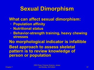 Sexual Dimorphism What can affect sexual dimorphism: Population affinity Nutritional status Behavior-strength training, heavy chewing stresses No morphological indicator is infallible Best approach to assess skeletal pattern is to review knowledge of person or population Chapter 7 CRC Press: Forensic Science, James and Nordby, 3rd Edition 