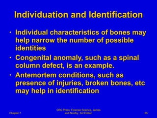 Individuation and Identification Individual characteristics of bones may help narrow the number of possible identities Congenital anomaly, such as a spinal column defect, is an example. Antemortem conditions, such as presence of injuries, broken bones, etc may help in identification Chapter 7 CRC Press: Forensic Science, James and Nordby, 3rd Edition 
