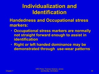 Individualization and Identification Handedness and Occupational stress markers: Occupational stress markers are normally not straight forward enough to assist in identification Right or left handed dominance may be demonstrated through  use-wear patterns Chapter 7 CRC Press: Forensic Science, James and Nordby, 3rd Edition 