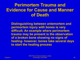 Perimortem Trauma and Evidence for Cause and Manner of Death Distinguishing between antemortem and perimortem injury with bones is very difficult. An example where perimortem trauma may be present is the observation of a broken bone showing no signs of healing- however, bones take several days to start the healing process Chapter 7 CRC Press: Forensic Science, James and Nordby, 3rd Edition 