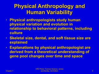 Physical Anthropology and Human Variability Physical anthropologists study human physical variation and evolution in relationship to behavioral patterns, including culture Skeletal size, dental, and soft tissue size are explained Explanations by physical anthropologist are derived from a theoretical understanding of gene pool changes over time and space Chapter 7 CRC Press: Forensic Science, James and Nordby, 3rd Edition 