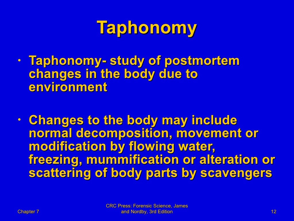 7 Forensic Science Powerpoint Chapter 07 Forensic Anthropology