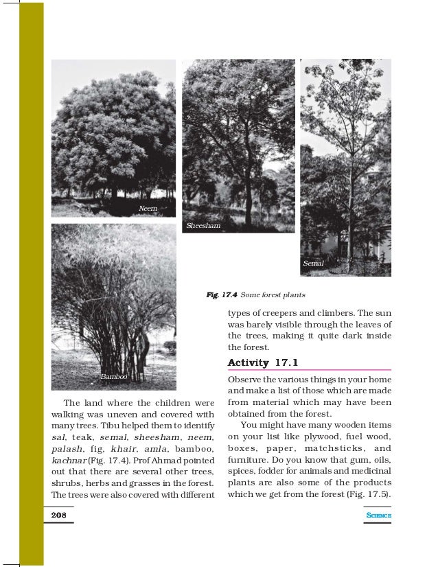 7 forest our lifeline.