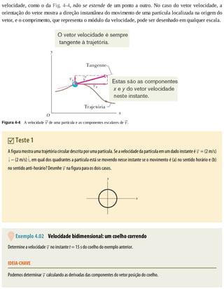 velocidade,	como	o	da	Fig.	4-4,	não	se	estende	de	um	ponto	a	outro.	No	caso	do	vetor	velocidade,	a
orientação	do	vetor	mostra	a	direção	instantânea	do	movimento	de	uma	partícula	localizada	na	origem	do
vetor,	e	o	comprimento,	que	representa	o	módulo	da	velocidade,	pode	ser	desenhado	em	qualquer	escala.
Figura	4-4 	A	velocidade	 	de	uma	partícula	e	as	componentes	escalares	de	 .
	Teste	1
A	figura	mostra	uma	trajetória	circular	descrita	por	uma	partícula.	Se	a	velocidade	da	partícula	em	um	dado	instante	é	 	=	(2	m/s)
	−	(2	m/s)	 ,	em	qual	dos	quadrantes	a	partícula	está	se	movendo	nesse	instante	se	o	movimento	é	(a)	no	sentido	horário	e	(b)
no	sentido	anti-horário?	Desenhe	 	na	figura	para	os	dois	casos.
	Exemplo	4.02 	Velocidade	bidimensional:	um	coelho	correndo
Determine	a	velocidade	 	no	instante	t	=	15	s	do	coelho	do	exemplo	anterior.
IDEIA-CHAVE
Podemos	determinar	 	calculando	as	derivadas	das	componentes	do	vetor	posição	do	coelho.
 