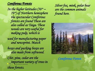 Coniferous Forests
In the higher latitudes (50° –
70°) of Northern hemisphere
the spectacular Coniferous
forests are found These are
also called as Taiga. These
woods are very useful for
making pulp, which is
used for manufacturing paper
and newsprint. Match
boxes and packing boxes are
also made from softwood.
Chir, pine, cedar are the
important variety of trees in
these forests.
Silver fox, mink, polar bear
are the common animals
found here.
Coniferous Forest
abdul shumz kv kanjikode11
 
