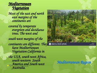 Mediterranean
Vegetation
Most of the east and north
east margins of the
continents are
covered by temperate
evergreen and deciduous
trees. The west and
south west margins of the
continents are different. They
have Mediterranean
Vegetation California in
the USA, south west Africa,
south western South
America and South west
Australia.
Mediterranean Region
abdul shumz kv kanjikode12
 