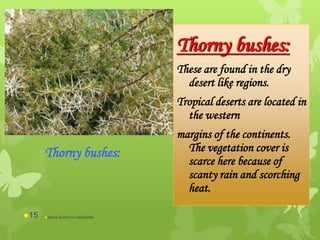 Thorny bushes:
These are found in the dry
desert like regions.
Tropical deserts are located in
the western
margins of the continents.
The vegetation cover is
scarce here because of
scanty rain and scorching
heat.
Thorny bushes:
abdul shumz kv kanjikode15
 