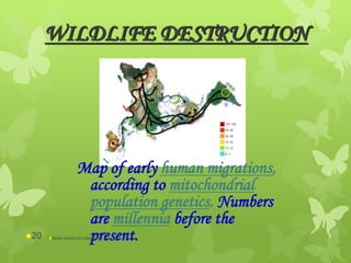 WILDLIFE DESTRUCTION
Map of early human migrations,
according to mitochondrial
population genetics. Numbers
are millennia before the
present.abdul shumz kv kanjikode20
 