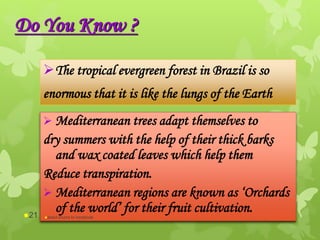 Do You Know ?
The tropical evergreen forest in Brazil is so
enormous that it is like the lungs of the Earth
 Mediterranean trees adapt themselves to
dry summers with the help of their thick barks
and wax coated leaves which help them
Reduce transpiration.
 Mediterranean regions are known as ‘Orchards
of the world’ for their fruit cultivation.abdul shumz kv kanjikode21
 
