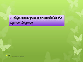  Taiga means pure or untouched in the
Russian language
abdul shumz kv kanjikode23
 