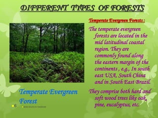 DIFFERENT TYPES OF FORESTS
Temperate Evergreen Forests :
The temperate evergreen
forests are located in the
mid latitudinal coastal
region. They are
commonly found along
the eastern margin of the
continents , e.g., In south
east USA, South China
and in South East Brazil.
They comprise both hard and
soft wood trees like oak,
pine, eucalyptus, etc.
Temperate Evergreen
Forest
abdul shumz kv kanjikode6
 