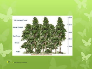 abdul shumz kv kanjikode9
 